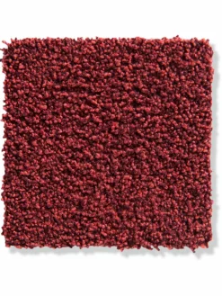 Aberdeen|Kibek Discount