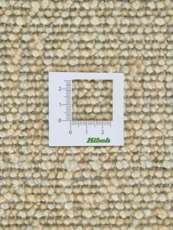 Agra Collection|Kibek New