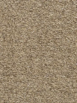 Aktiv Cotton|Kibek Best