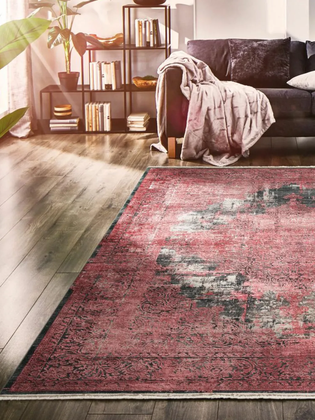 Alessandria|Kibek New