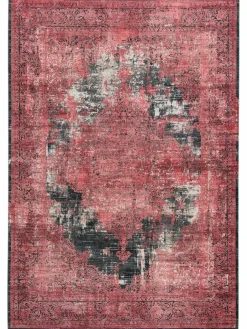 Alessandria|Kibek New