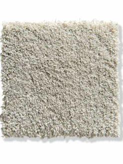 Amador|Kibek Clearance