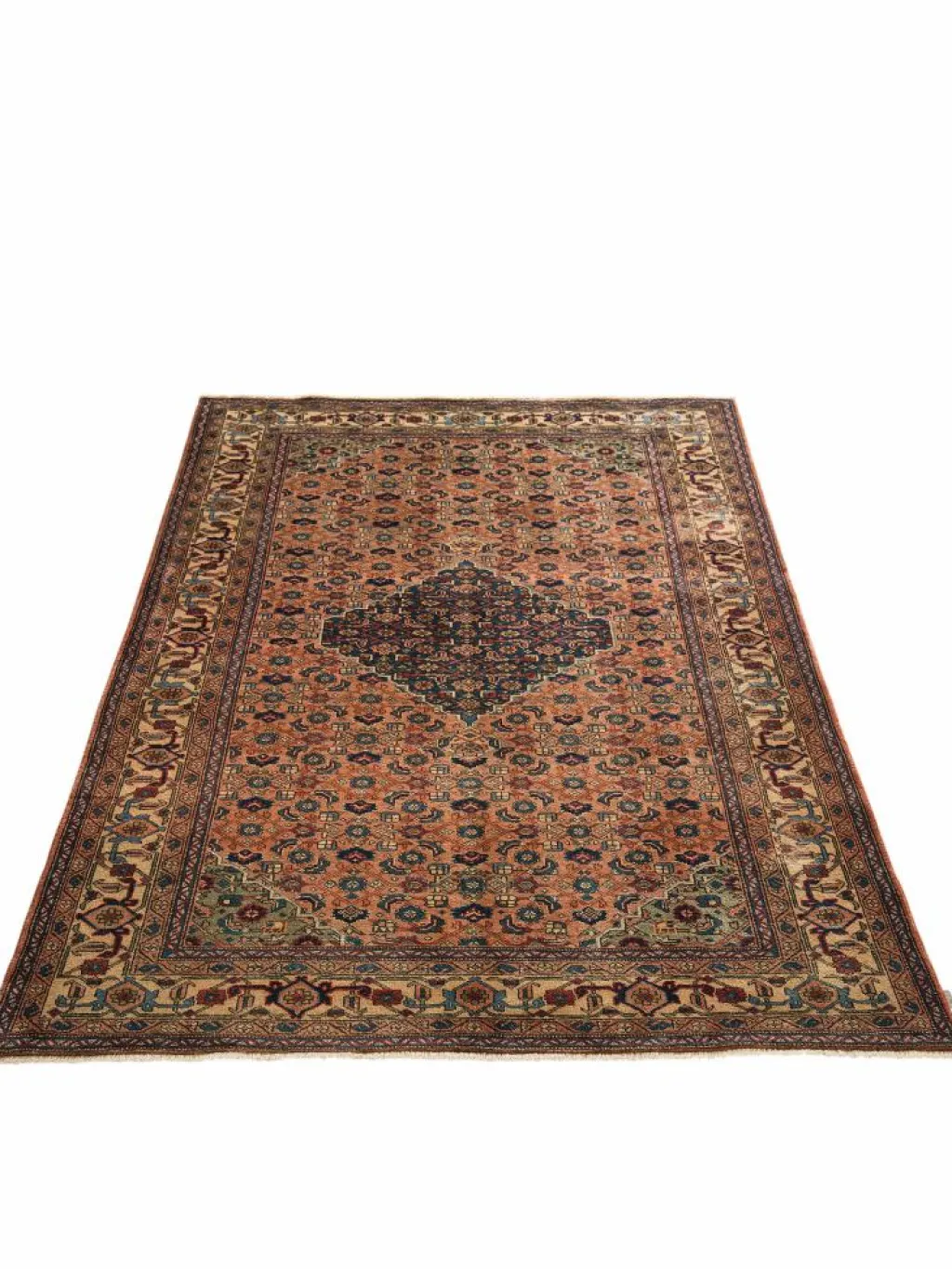 Ardebil Semiantik|Kibek Clearance