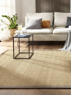 Aruba Colour|Kibek New