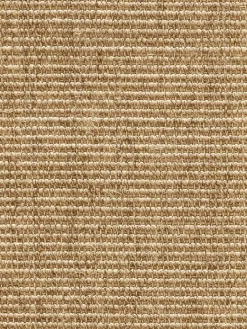 Aruba Colour|Kibek New