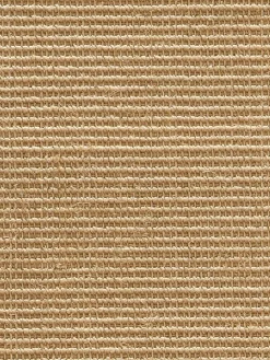 Aruba Nature|Kibek New