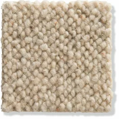 Auckland|Kibek Discount