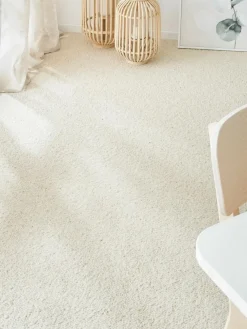 Auckland|Kibek Outlet