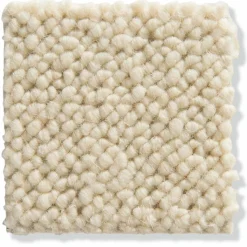 Auckland|Kibek Outlet