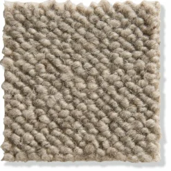 Auckland|Kibek Discount