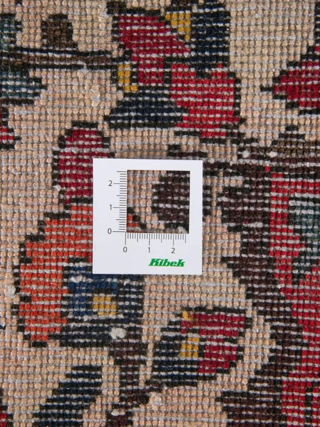 Bachtiar|Kibek Clearance