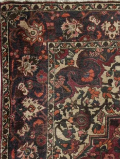 Bachtiar|Kibek Online