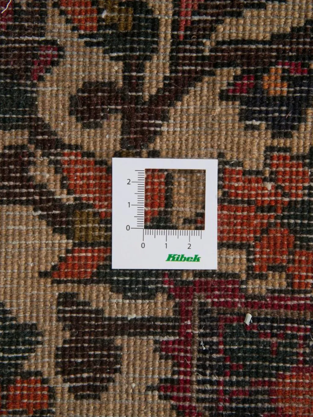 Bachtiar|Kibek Online