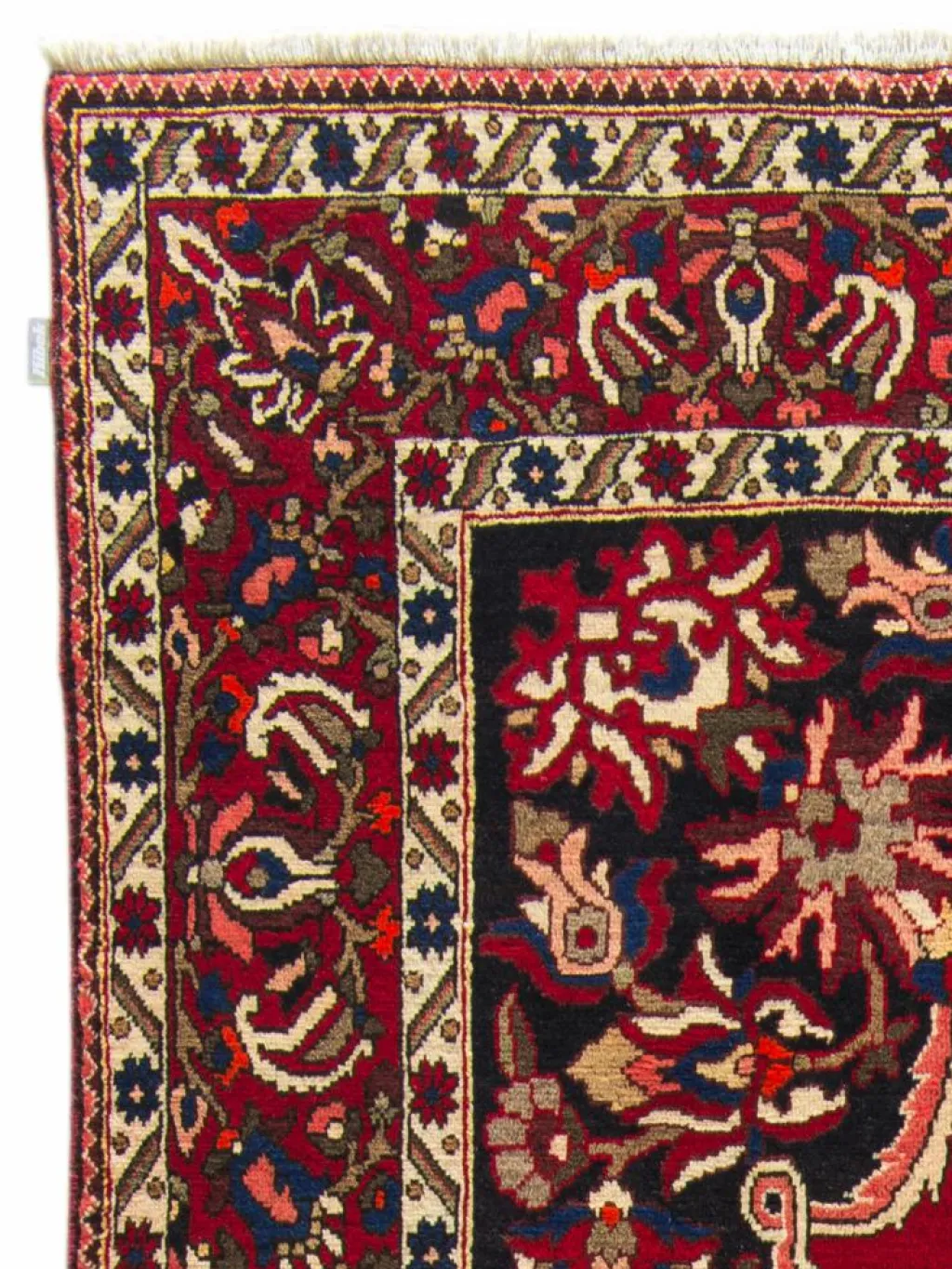 Bachtiar|Kibek Online