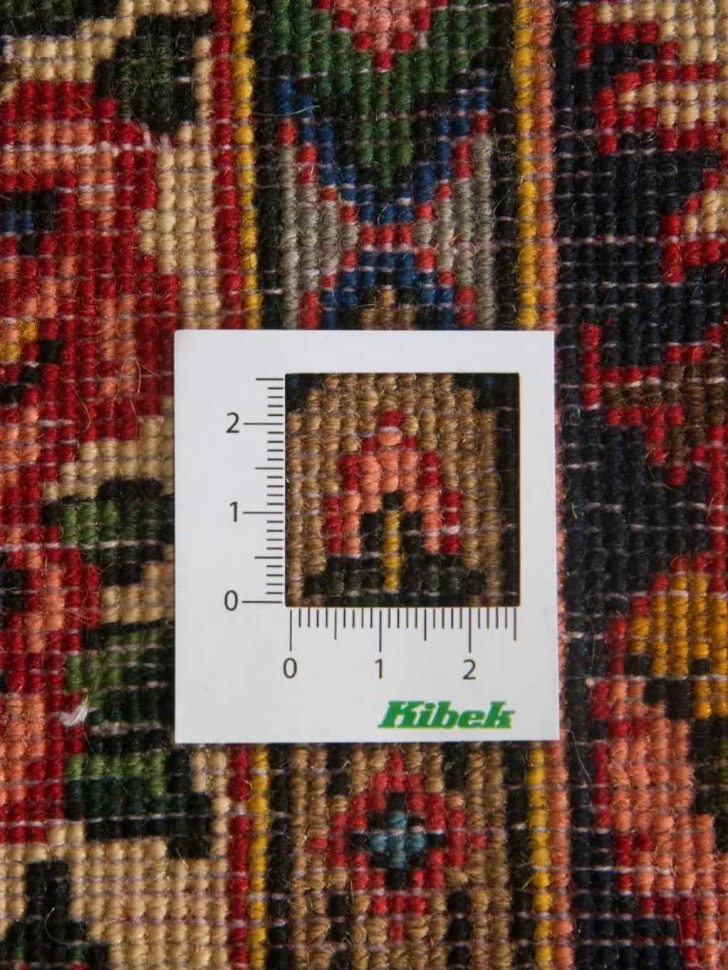 Bachtiar|Kibek Clearance