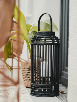 Baldi|Kibek Clearance