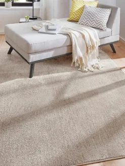 Barinas|Kibek Outlet