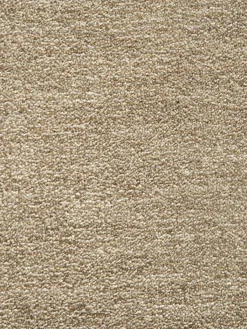 Barinas|Kibek Outlet