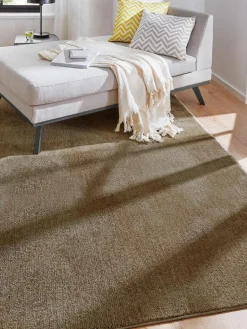 Barinas|Kibek Discount