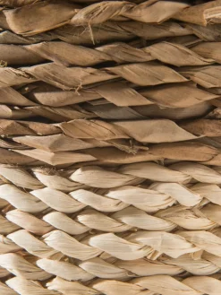 Basket Rush|Kibek Hot