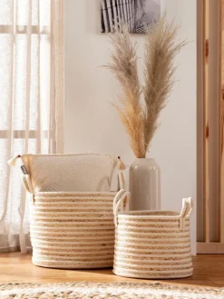 Basket Willow|Kibek Sale