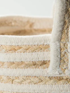 Basket Willow|Kibek Sale