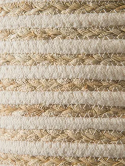 Basket Willow|Kibek Sale