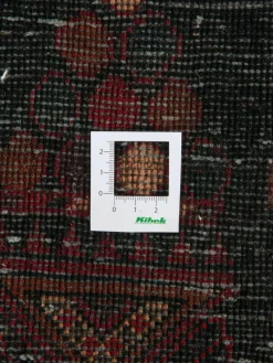 Belutsch|Kibek Clearance