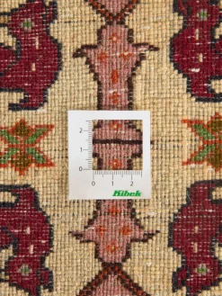 Belutsch|Kibek Online