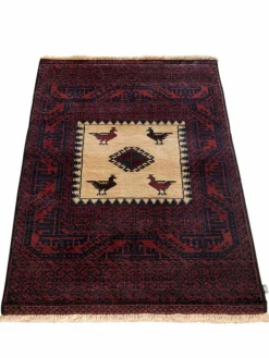 Belutsch|Kibek Clearance