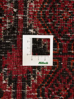 Belutsch|Kibek Online