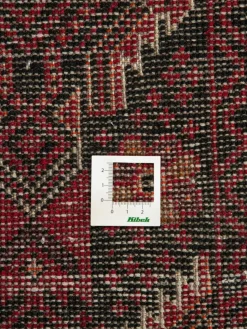 Belutsch|Kibek Discount