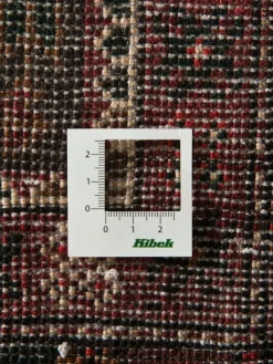 Belutsch|Kibek Discount