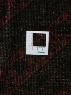 Belutsch|Kibek Discount