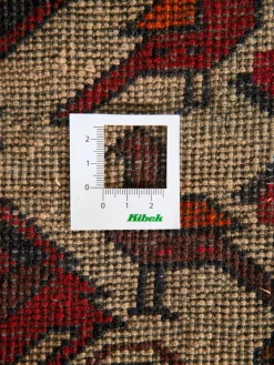 Belutsch|Kibek Discount