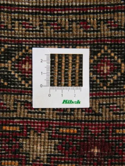 Belutsch|Kibek Clearance