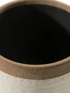 Bengal|Kibek Discount