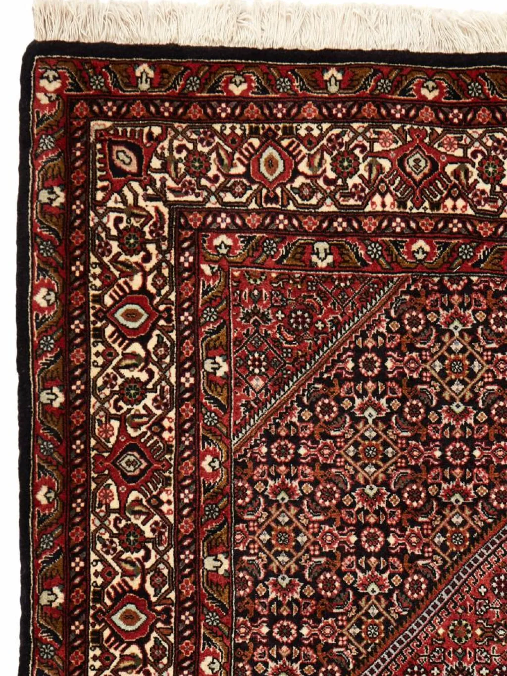 Bidjar Tekab|Kibek Best