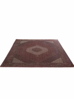 Bidjar Tekab|Kibek Online