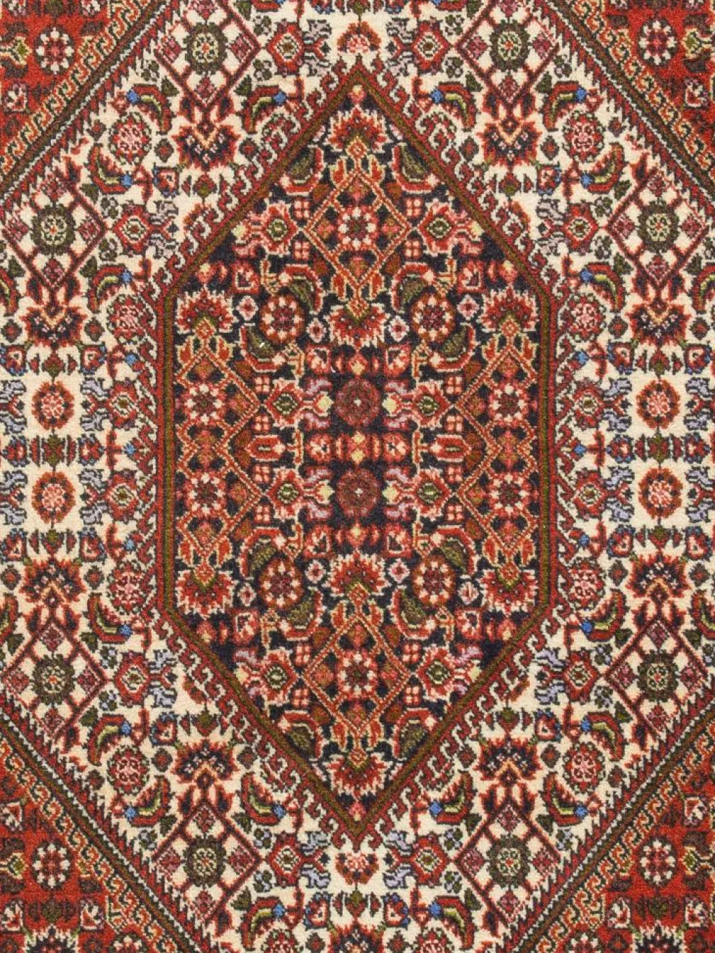 Bidjar Zandjan|Kibek New