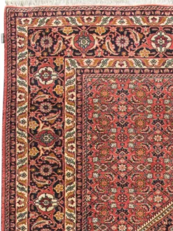 Bidjar Zandjan|Kibek Online