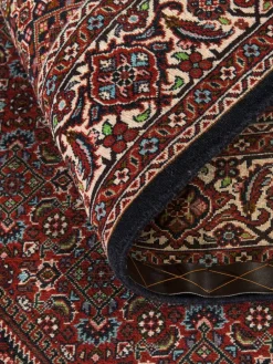 Bidjar Zandjan|Kibek Online