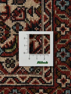 Bidjar Zandjan|Kibek Online