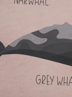 Big Whales|Kibek Hot