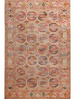 Buchara Ghazni|Kibek Clearance