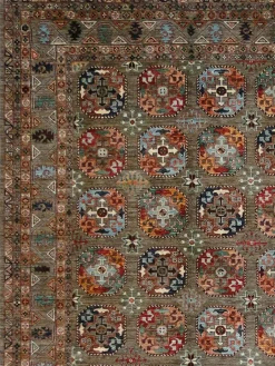 Buchara Ghazni|Kibek Clearance