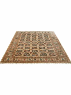 Buchara Ghazni|Kibek Hot