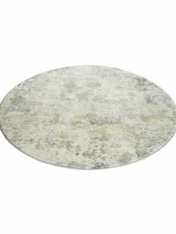 Calanthe|Kibek Discount