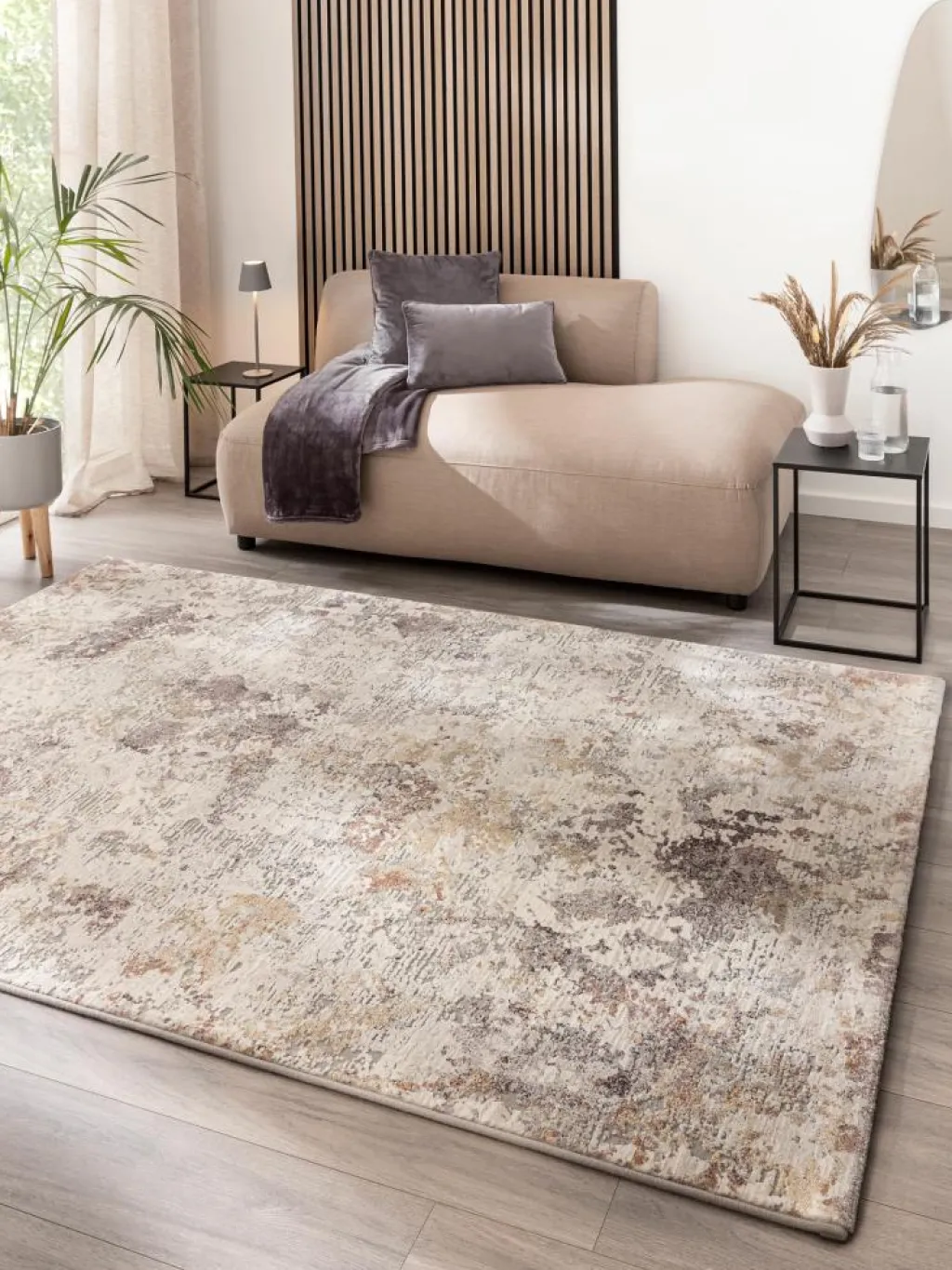 Calanthe|Kibek Clearance