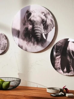 Canvas 3er|Kibek Online